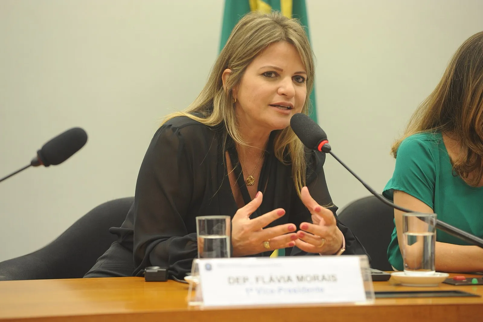 A deputada Flávia Morais fala ao microfone e gesticula durante reunião no Congresso Nacional.