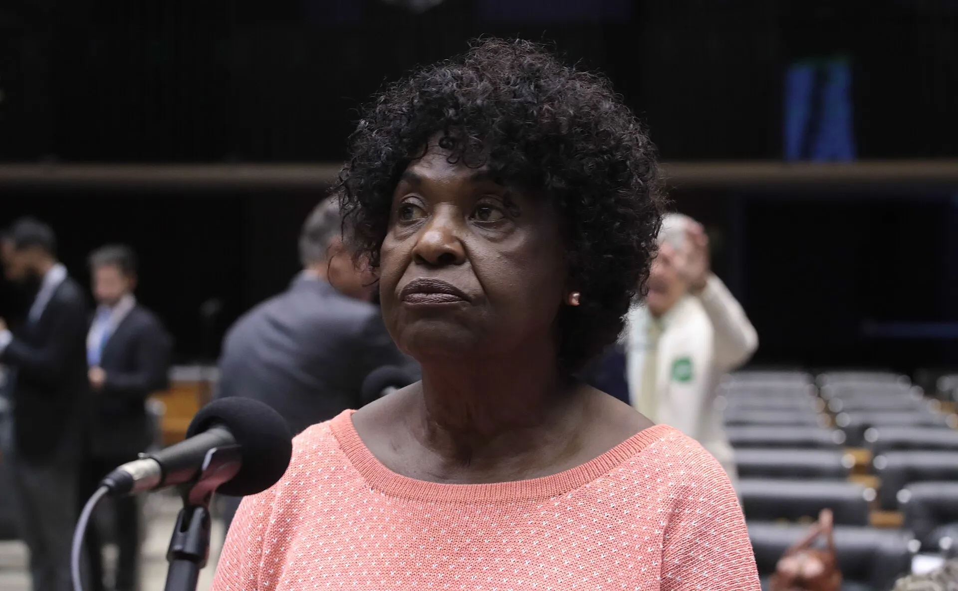 Deputada Benedita da Silva, de blusa rosa, diante de um microfone no plenário da Câmara, com cadeiras ao fundo.